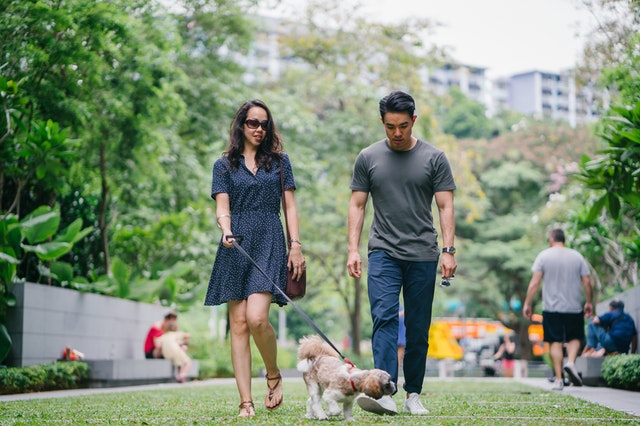 Couple walking their dog in a neighborhood park